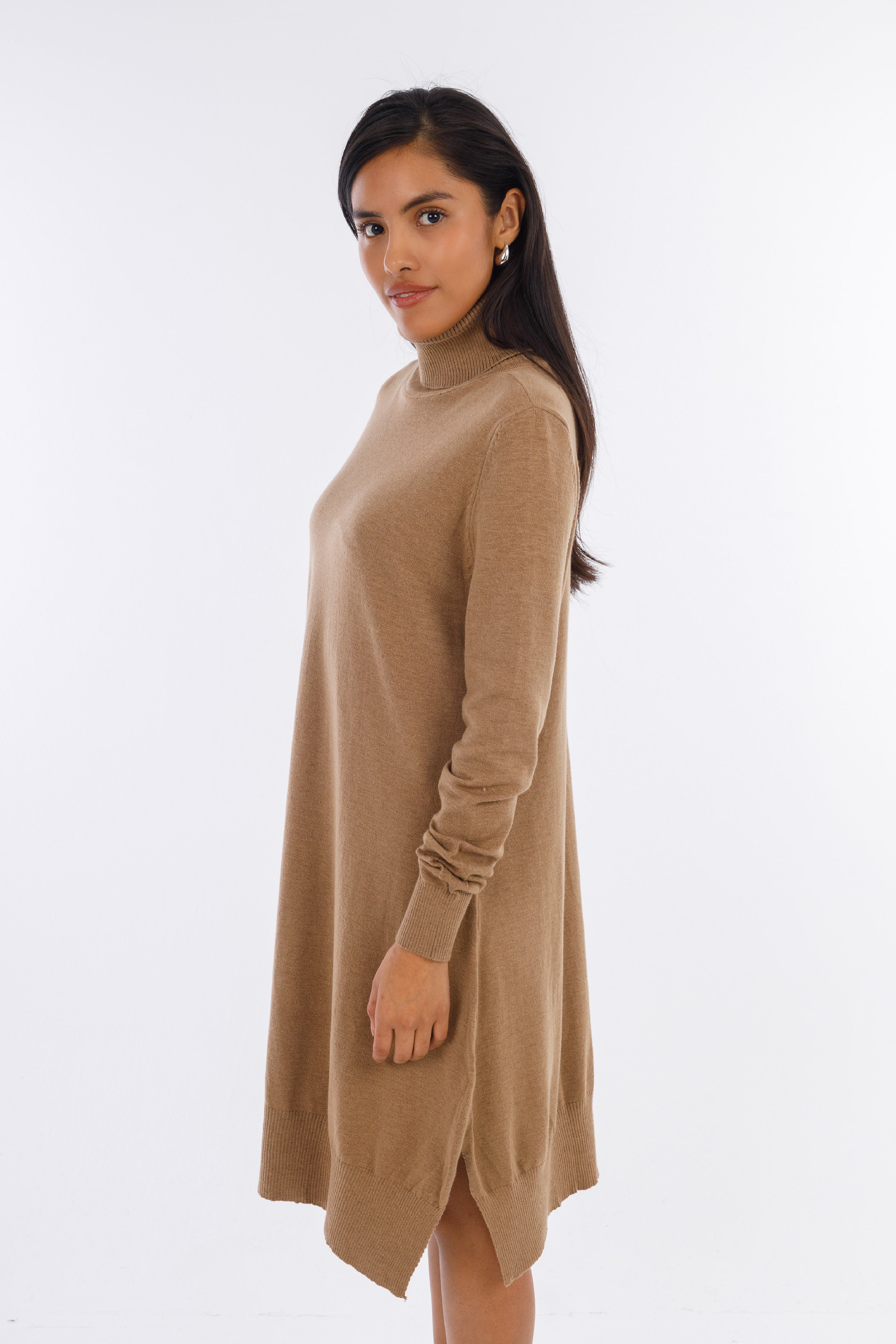 Beige Everyday Turtle-neck Dress-W24057